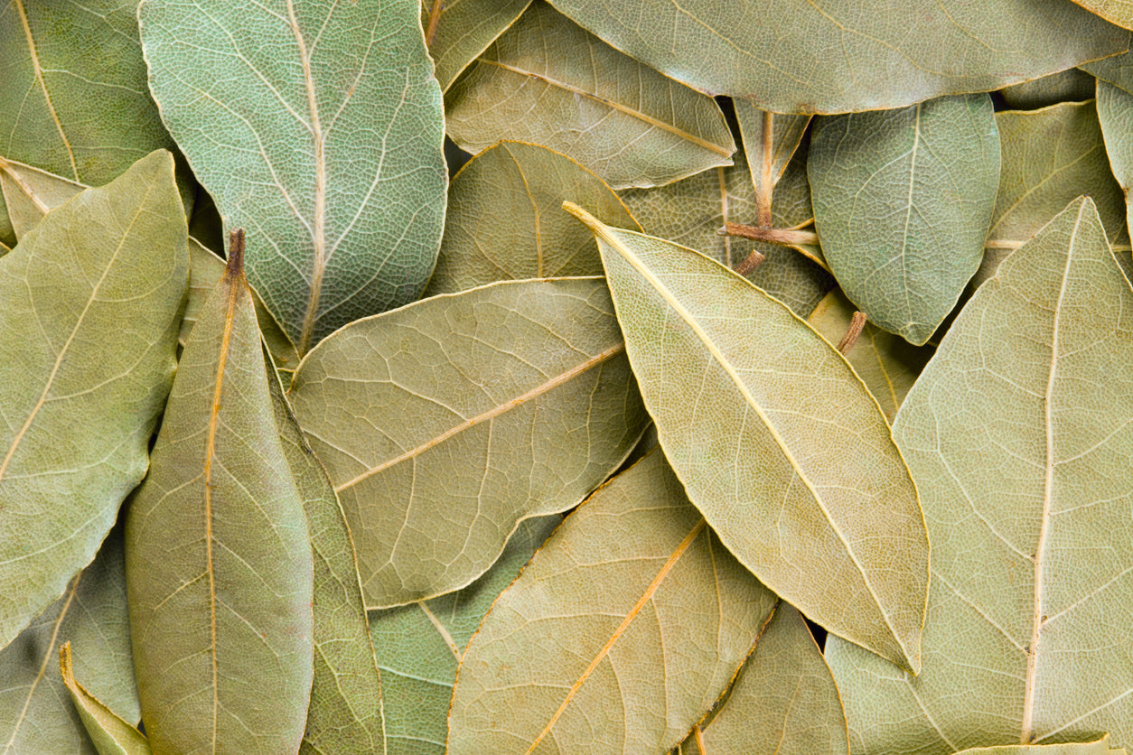 Bay Leaves