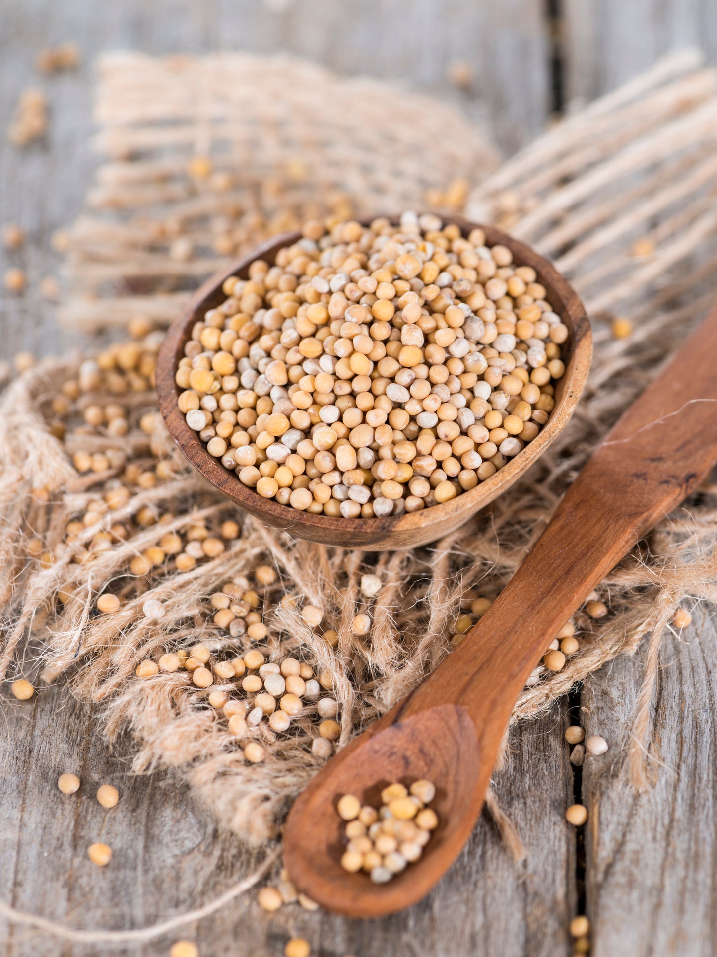 Mustard Seeds, yellow - Kailua Seasoning Company