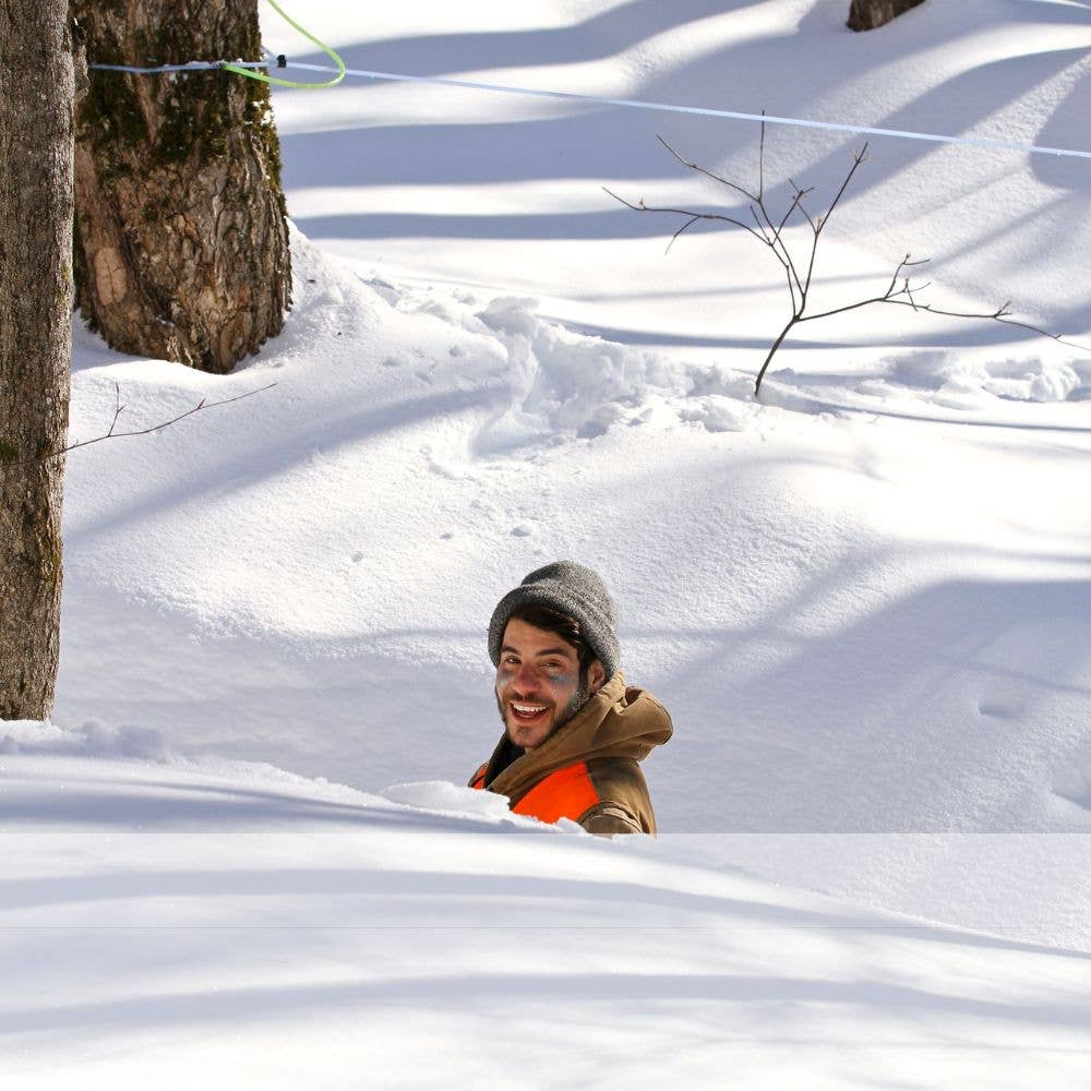 *LIMITED RELEASE Snow Globe Sparkle Syrup®