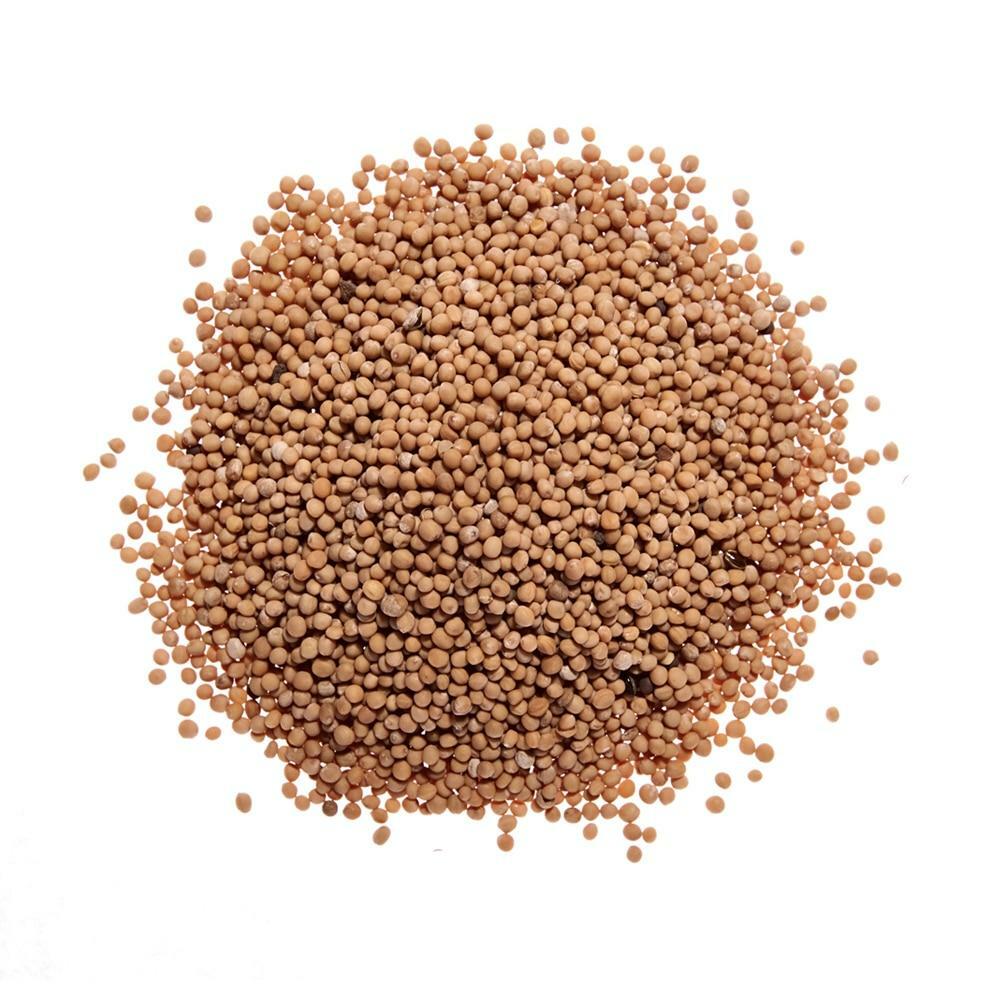 Mustard Seeds, yellow - Kailua Seasoning Company