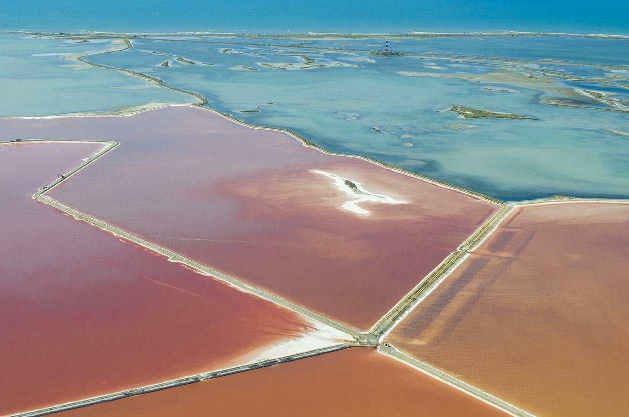 French Fleur de Sel